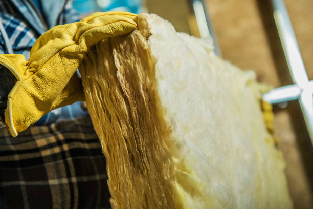 Best Insulation Replacement Services  in Seymour, IN