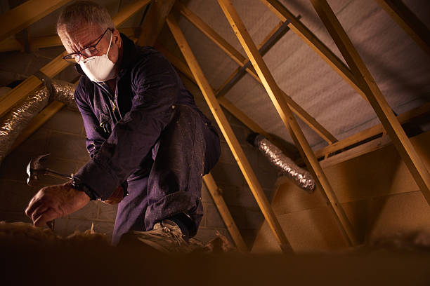 Best Insulation Contractors for Homes  in Seymour, IN
